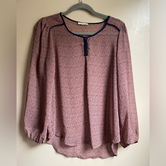 Pleione sheer cheetah print mesh blouse top size M mature office - Picture 1 of 11